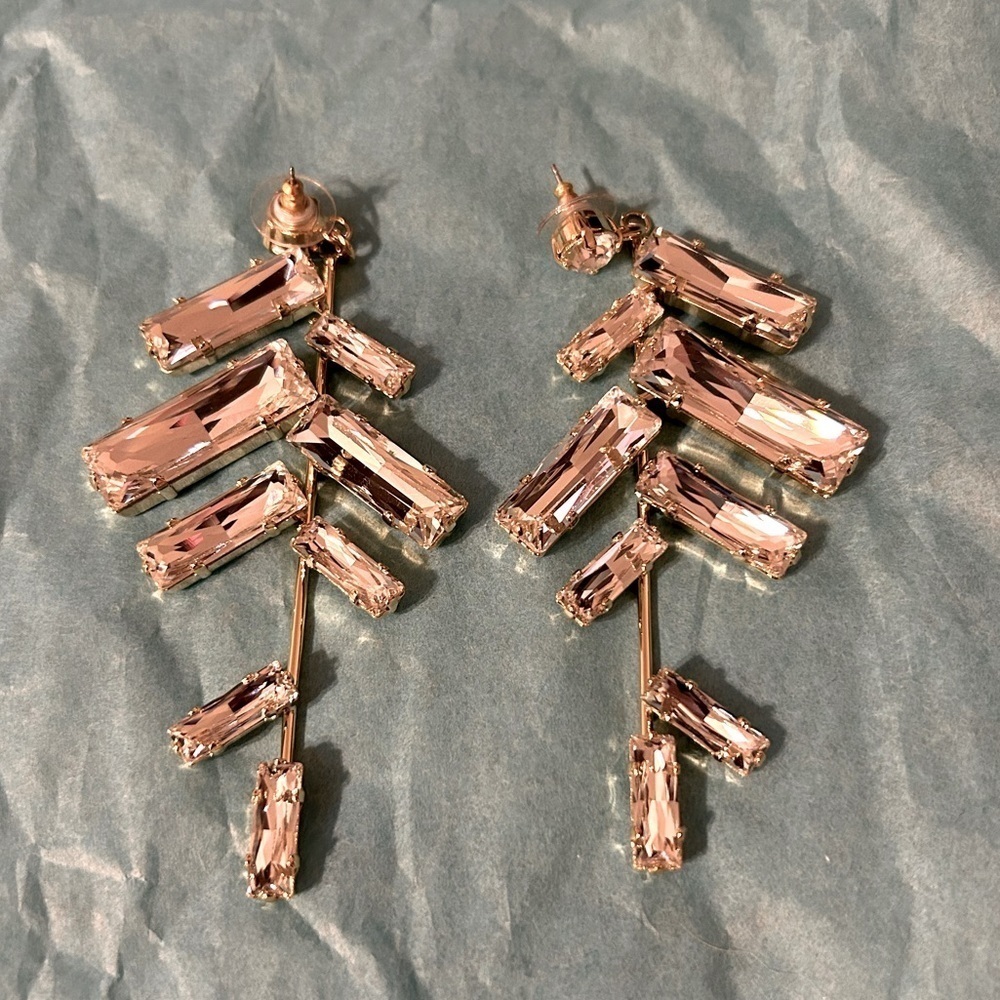 Mari Earrings NWOT